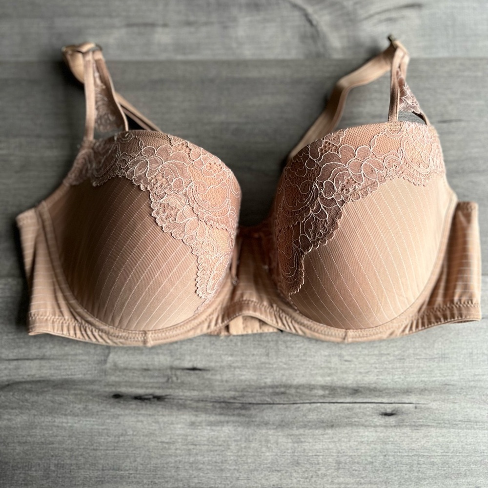 Ashley Graham Bra